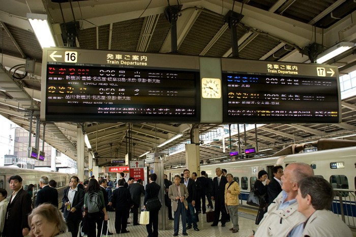 It'll be fine, don't worry. IMG_2992-2 copy